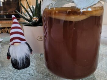 kombucha